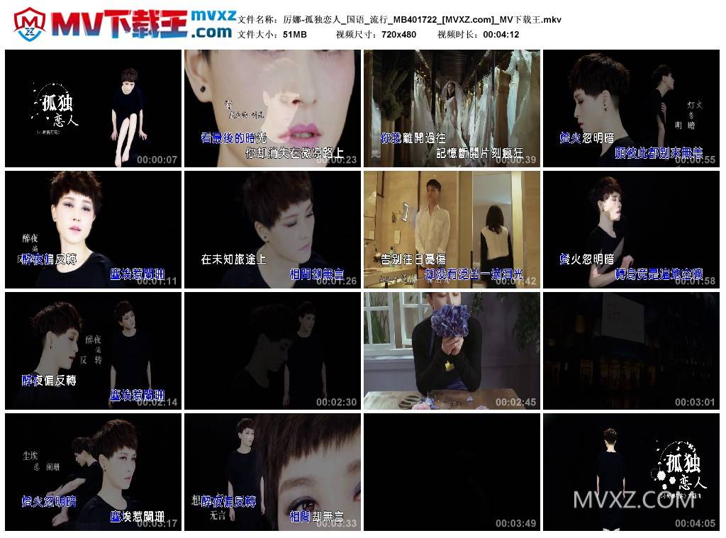 厉娜-孤独恋人_国语_流行_MB401722